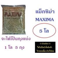 ราคา อาหารแมว แม็กซิม่า MAXIMA ขนาด 5 กิโลกรัม (1731831635109512309)