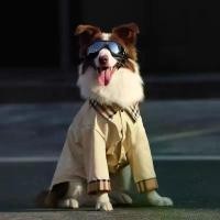 ราคา เสื้อผ้าสุนัข 1539 เสื้อสุนัขขนาดใหญ่ฤดูใบไม้ผลิและฤดูร้อนครอกโกลเด้น, ลาบราดอร์, คอลลี่ชายแดน, โดเบอร์แมน, เสื้อหล่อ (1731476231165085632)