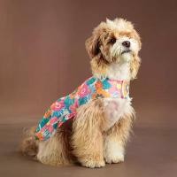 ราคา เสื้อผ้าสุนัข, สไตล์ฤดูร้อน, บาง, พิมพ์ลายฮาวายทะเล, ต้นมะพร้าว, เสื้อชายหาด, ชุดลายดอกไม้สัตว์เลี้ยง (1732229302100199923)