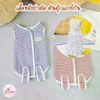 ราคา 【คนไทยแนะนำ!】 เสื้อหลังผ่าตัด ป้องกันเลียแผล เสื้อทำหมัน แมว หมา สุนัข ชุดทำหมัน Recovery Suit (1731507699556648859)