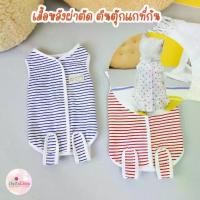 ราคา พร้อมส่งจากไทย เสื้อหลังผ่าตัด ป้องกันเลียแผล เสื้อทำหมัน แมว หมา สุนัข ชุดทำหมัน Recovery Suit (1731990495960467131)