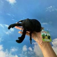 ราคา พวงกุญแจ ด้วงกว่าง Beetle Keychain คลังสินค้า (1732292259967306595)