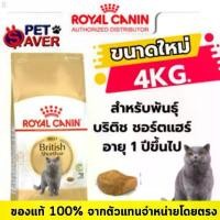 ราคา Royal Canin Adult British short hair 4kg อาหารแมวโต พันธุ์บริติช ชอร์ตแฮร์ 4 kg ขายดี (1732270008402413067)