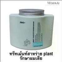 ราคา ของแท้ 100% Plant+ Hair Care Product ทรีทเมนท์ สปา สาหร่าย สำหรับผมแห้งเสียมาก ปริมาณ 500 มล. เซ็ทโปร 7 ชิ้น บรัชเปลี่ยน สี (1732044056998741983)