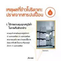 ราคา Noritake Rice Premium 2kg (1732119992636965936)