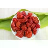 ราคา [กินกันลำๆ] สตรอเบอรี่อบแห้ง ขนาด 1 กิโลกรัม สตอเบอรี่อบแห้ง สตรอเบอร์รี่อบแห้ง สตอเบอรี่ ไม่มีน้ำตาล Dried Strawberry ผลไม้อบแห้ง (1729563926139013582)