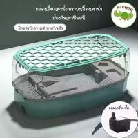 ราคา Nomoy pet กระบะเลี้ยงเต่าน้ำ กล่องเลี้ยงเต่าน้ำ อ่างเต่า เต่าญี่ปุ่น มีปั๊มในตัว (1732188005127914945)