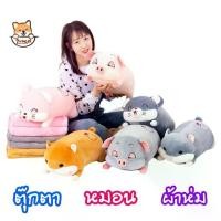 ราคา หมอนผ้าห่ม ตุ๊กตา หมู หนู แฮมเตอร์ ผ้าห่มนาโน 1 x1.6 m ตุ๊กตายาว ≈ 45 cm หมอนตุ๊กตาลายปักอย่างดี ผ้านุ่มมาก doll ZumoIX 2025 (1731992224865682525)