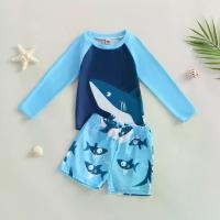 ราคา ชุดว่ายน้ำเด็กผู้ชาย 2 ชิ้น พิมพ์ลายฉลาม คอกลม เสื้อแขนยาว ชุดว่ายน้ำและกางเกงว่ายน้ำ ชุดว่ายน้ำ เด็กผู้หญิง กีฬา ออกกำลังกาย Sport Child Swimming (1730809019155449956)