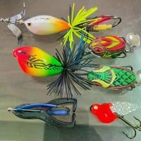 ราคา โปรโมชั่นชุดสุดคุ้ม จากค่าย Suksri Lure เพียงชุดละ259บาท ส่งฟรี 1.กบใบพัด 2.กบโดด4เซน เบ็ด2/0 3.กบตีนแตะ5เซ็น 4.กบยาง 3.3เซน เบ็ดเบอร์2 หนัก 5กรัม 5.กบยาง3.7เซน เบ็ดเบอร์1/0 ห (1729679626196847493)