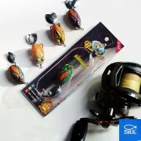 ราคา COD เหยื่อปลอม กบยาง กบยางแร็พเตอร์ เม่นยาง น้าบอล Ball Lure (1731229832822883466)