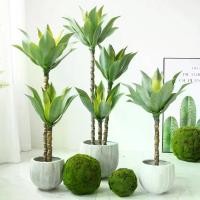 ราคา ต้นอากาเว่ ต้นไม้ปลอมแต่งบ้าน ต้นไม้สไตล์มินอมอล ต้นไม้แต่งบ้าน (พร้อมส่ง)Plant-L Aka+pot (1732032572427503581)