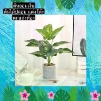 ราคา TS061J011 TROPACL ต้นไม้ปลอม ต้นออมเงิน ต้นไม้ปลอมสวยๆ ต้นไม้ปลอมโชว์ ARTIFICIAL PLANT ต้นออมเงินปลอม (1729603383404496906)