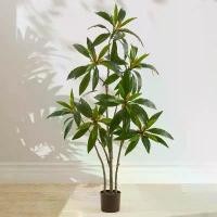 ราคา ต้นตีนเป็ด ต้นไม้ปลอม ไม้ประดับ ไม้มงคลตกแต่งบ้านและสวน/แต่งคาเฟ่/โรงแรม Plant-TPD (1730523111868434700)