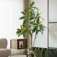 ราคา ต้นตีนเป็ดเเดง ต้นไม้ปลอม ต้นไม้ตกเเต่งบ้าน ต้นไม้มงคล Plant-L(TPD) (1729735041185254365)