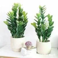 ราคา ต้นกวักมรกต ต้นไม้ปลอม ไม้ประดับ ไม้มงคล ตกแต่งบ้านและสวน/แต่งคาเฟ่/ออฟฟิศ Plant-GMG (1730522189302761740)