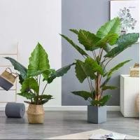 ราคา ต้นฟิโลเดนดรอน ต้นไม้ปลอมตกเเต่งบ้านเเละห้อง ตกเเต่งคอนโด อ็อฟฟิต Plant-L(CHY) (1729737958974917597)