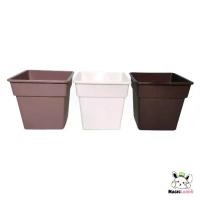 ราคา Plant Pot Cactus กระถางต้นกระบองเพชร ดระถางเหลี่ยมจิ๋ว ที่ปลูกแคคตัส ขนาด 3.25 นิ้ว สีขาว ดำ น้ำตาล (1729632539958807381)