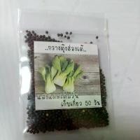 ราคา เมล็ด​พันธุ์​ กวางตุ้งฮ่องเต้​ 500+ เมล็ด​ Plant seeds (1730303148361747425)