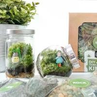 ราคา Puppy Leaf เซตสวนขวด (Terrarium Kit) ซื้อ 1 ได้ถึง 2 รุ่น Duo S/Totoro (1732445841322051215)