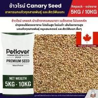 ราคา (5KG/10KG) ข้าวไรย์ Canada Canary Seed เกรด A อาหารนกแก้ว และสัตว์พันแทะ ข้าวไรน์ บำรุงขนสวย มันเงา สินค้าที่ขายดีที่สุดของเดือนนี้ (1732253359630550985)