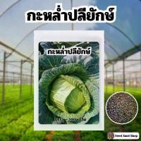 ราคา เมล็ดพันธุ์กะหล่ำปลียักษ์ บรรจุ 100 เมล็ด (Giant Russian Cabbage Seed) พร้อมคู่มือปลูก (1729997962821274035)