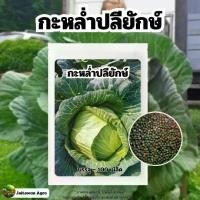 ราคา เมล็ดพันธุ์กะหล่ำปลียักษ์ บรรจุ 100 เมล็ด (Giant Russian Cabbage Seed) พร้อมคู่มือปลูก (1730436657005038323)