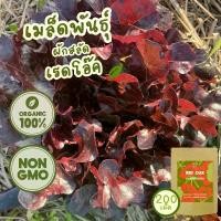 ราคา เมล็ดพันธุ์ ผักสลัด เรดโอ๊ค (Organic Red Oak Lettuce Seed) 200 เมล็ด (1731822775043656583)