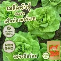 ราคา เมล็ดพันธุ์ ผักสลัด กรีนบัตเตอร์เฮด (Organic Green Butterhead Lettuce Seed) 200 เมล็ด คุณภาพดี ของแท้ 100% (1731826008471079815)