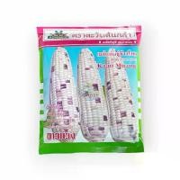 ราคา เมล็ดข้าวโพดขาวม่วง Waxy Corn Seed ตราตะวันต้นกล้า ขนาด500กรัม (1730452423957056069)