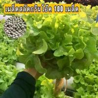 ราคา เมล็ดพันธุ์สลัด กรีนโอ๊ค แบบเคลือบ ซอง 100 เมล็ด (Green Oak seed) (1729605465215634413)