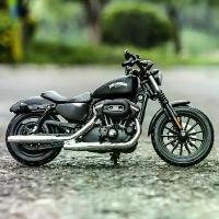 ราคา Harley-Davidson 2014 Sportster Iron 883, Maisto, สเกล 1:12, โมเดลรถจักรยานยนต์ที่ระลึก, Die Cast, ของเล่น (1731904934252938594)