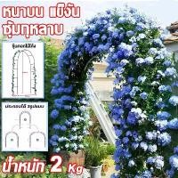 ราคา （หนา）ซุ้มกุหลาบ ซุ้มไม้เลื้อย 240x140x38cm（ดำ/สีขาว/สีเขียว） งานเลี้ยง งานแต่งงาน ซุ้มแต่งงาน ซุ้มเหล็กโค้ง เสาไม้เลื้อย ไม้เลื้อย ตกแต่งสวน โครงซุ้มกุหลาบ โครงซุ้มต้นไม้ ซุ้มแต่ (1732455301671846928)