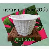 ราคา กระถางแอร์พอต air pot 20นิ้ว สีขาวดำ กระถางต้นไม้ กระถางเร่งราก กระถางปลูกกัญกระถางต้นไม้ กระถาง กระถางพลาสติก 8" สีอิฐ (1731680929477462349)