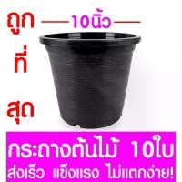 ราคา กระถางต้นไม้ กระถางพลาสติก ขนาด 10 นิ้ว 10ใบ กระถางกลม กระถางต้นไม้พลาสติก กระถางปลูกต้นไม้ กระถางดำ กระถางพลาสติกดำ Flower potกระถางดอกไม้ (1732209705585117244)