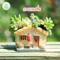 ราคา กระถางบ้านเรซิ่น กระถางไม้อวบน้ำ แคตตัส กระบองเพชร เล็ก จิ๋ว Pot (1729682250116205445)