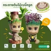 ราคา กระถาง พร้อมส่ง เบบี้กรูท 15 cm groot pot model figure (1730634979839347194)