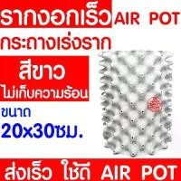 ราคา *ไม่พับตอนส่ง* กระถางปลูกต้นไม้เร่งรากAir Pot (เกรดAเนื้อเงา)กระถางมีรู เพิ่ม เร่งรากเร็วขึ้น2เท่า กระถางต้นไม้เพิ่มราก กระถาง จิ๋ว (1729799471520713257)