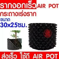 ราคา *ไม่พับกระถาง* กระถางปลูกต้นไม้เร่งราก 30x25cm Air Pot กระถางมีรู เพิ่มรากเร็วขึ้น2เท่าปลูกต้นไม้ กระถางเพิ่มราก เร่งราก กระถาง จิ๋ว (1729799528204110377)