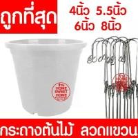 ราคา กระถางเพาะชำ กระถางขาว กระถางต้นไม้ ลวดแขวนกระถาง ลวดแขวนต้นไม้ กระถาง เพาะปลูก ต้นไม้ 4นิ้ว 5.5นิ้ว 6นิ้ว 8นิ้ว 10นิ้ว pot bunga ที่ แขวน กระถาง ต้นไม้ กระถาง จิ๋ว ก ร ะ (1729799750019615273)