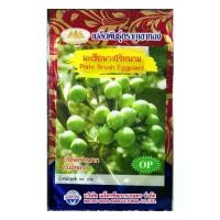 ราคา เมล็ดมะเขือพวงไร้หนาม Plate Brush Eggplant MT/OP-106 เมล็ดพันธุ์มะเขือพวง เมล็ดมะเขือพวง เมล็ดมะเขือ เมล็ดพันธุ์มะเขือ ตราภูเขาทอง (1729736259068005371)