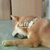 ราคา COD. PLATTCO ปลอกคอหมา ปลอกคอสุนัข ปลอกคอสัตว์เลี้ยง ปลอกคอหมาน่ารัก DOG COLLAR (1732023684084892983)