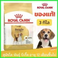 ราคา arspheshop แบบพกพา Royal Canin Beagle Adult อาหารสุนัข รอยัลคานิน บีเกิ้ล บีเกิล อายุ 12 เดือนขึ้นไป ขนาด 3kg อาหารเปียกผสมอาหารเม็ด (1730324072138049823)