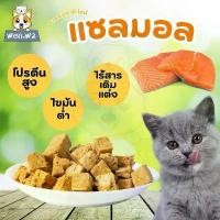 ราคา wen.W2 นมแมวแช่แห้งไอศกรีมอาหารแมวแบบบรรจุขนมสุนัขแช่แห้ง อาหารสุนัข สำหรับลูกสุนัข ขายดี (1731985163645650792)