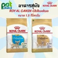 ราคา [1.5Kg.]อาหารสุนัข Royal Canin Chihuahua Puppy / Chihuahua adult Royal Canin Chihuahua โรยัลคานิน ชิวาวา (1729598306632698386)
