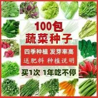 ราคา เมล็ดผักต่างๆ ทุกฤดูกาล ง่ายต่อการปลูก แพ็คเกจ เหมาะสำหรับระเบียงและสวน มีขนไก่ กะหล่ำปลี ผักกาดหอม ผักกาดขาว หัวหอมสีเขียว แตงกวา และเมล็ดผักกาดเขียว จัดส่งฟรีระดับพรีเมียม (1732017457810474206)