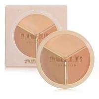 ราคา HF616 คอนทัวร์ คอนซีลเลอร์ SIVANNA COLORS CREAM CONTOUR CONCEALER PALETTE (1730460756501171119)
