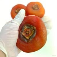 ราคา GUEENiuergergferfgeroshangmao มีบริการเก็บ ลูกพลับอบแห้ง สินค้าขายดี พร้อมทานหวานอร่อยแบบธรรมชาติสินค้าพร้อมส่งจากเยาวราช น้ำหนัก 1,000 กรัม snack shack ขนม ตูมตาม (1732177505995097719)