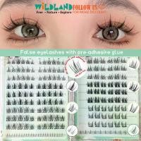 ราคา ขนตาปลอม 10 แถว มาพร้อมกาว Pre-adhesive สไตล์ผสม กาวในตัว ไม่ต้องใช้กาว 100-120 กลุ่ม ขนตาปลอมแต่งหน้า ขนตาปลอม jefa คลัสเตอร์ พัฟ เกลี่ย รองพื้น อาจารย์ ฟูก puzzle highlighter v (1731776567793321344)