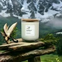 ราคา KRIT Candle เทียนหอม กลิ่น Sandalwood (กลิ่นไม้จันทน์หอม) ไขถั่วเหลือง 100% ปลอดควันดำ กลิ่นหอมกระจายดี ใช้จุดไฟหรือโคมไฟละลายเทียนได้ Candle Aroma (1729581514880092342)